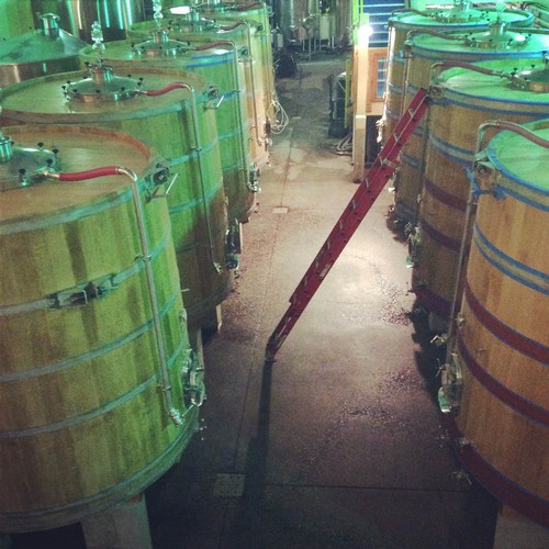 Lined up Wine Tanks 